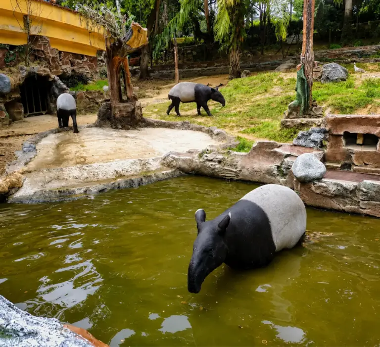 Zoo Johor1