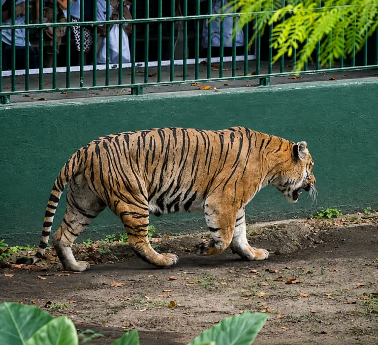 Zoo johor