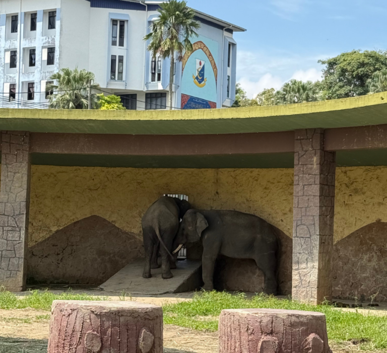 zoo2