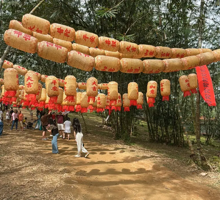 普陀村8